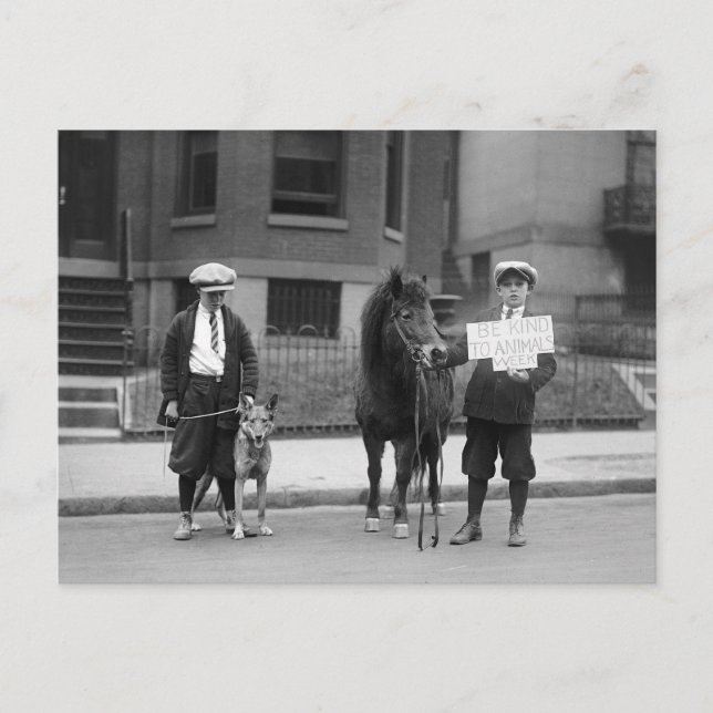 Seien Sie freundlich zu Tieren Woche 1923 Postkarte (Vorderseite)