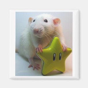 Seien Sie Ihr eigener Stern Magnet