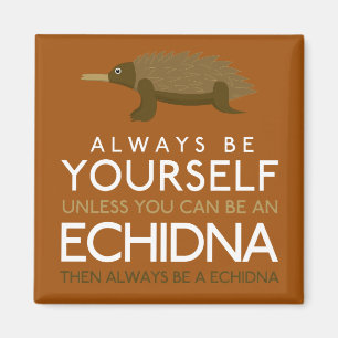 Seien Sie immer selbst, es sei denn, Sie können ei Magnet