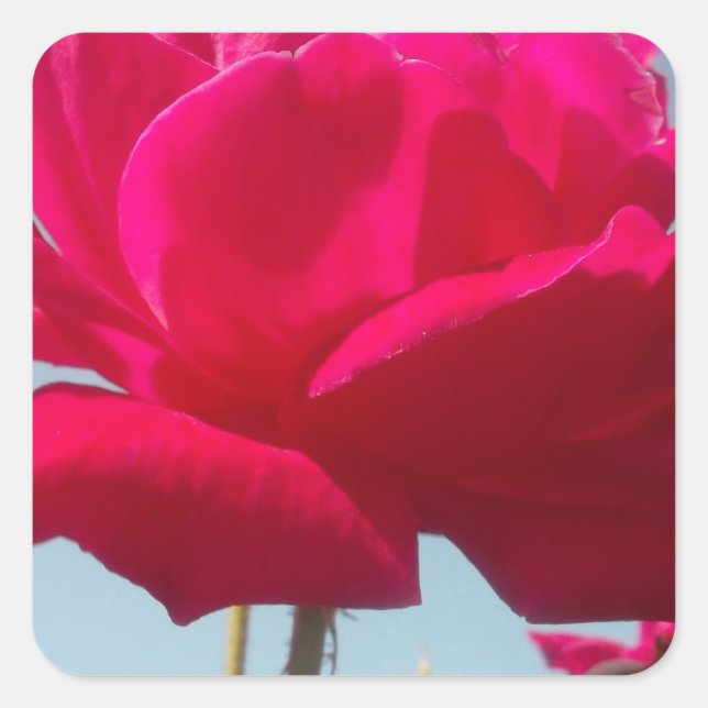 Seien Sie mein Glück Valentine unter dem blauen Hi Quadratischer Aufkleber (Vorderseite)