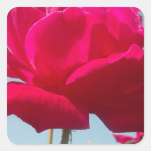 Seien Sie mein Glück Valentine unter dem blauen Hi Quadratischer Aufkleber