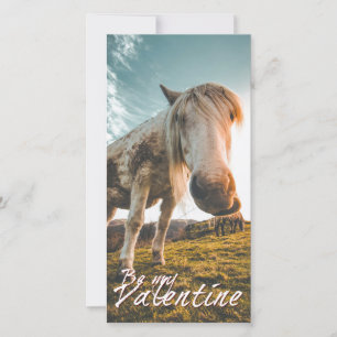 Seien Sie mein Valentine mit Blick auf Pferd V2.0