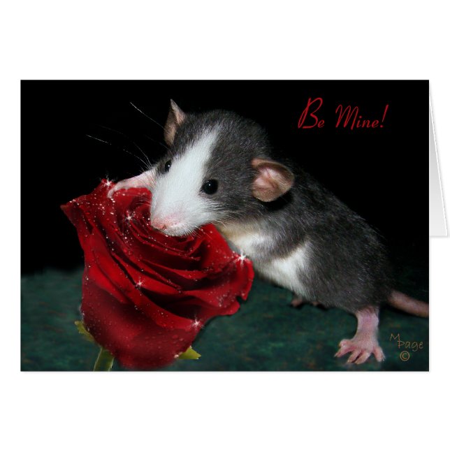 Seien Sie meine! (Vorderseite (Horizontal))