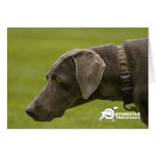 Seien Sie nicht traurig