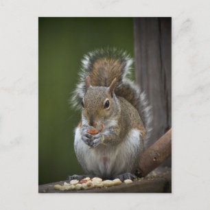 Seien Sie sehr ruhig Postkarte