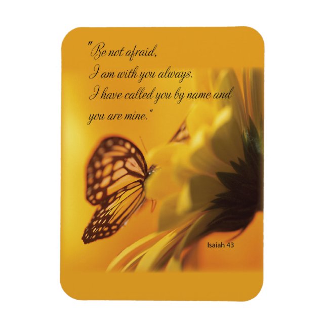 Seien Sie sich nicht vor religiösen Schmetterlinge Magnet (Vertikal)