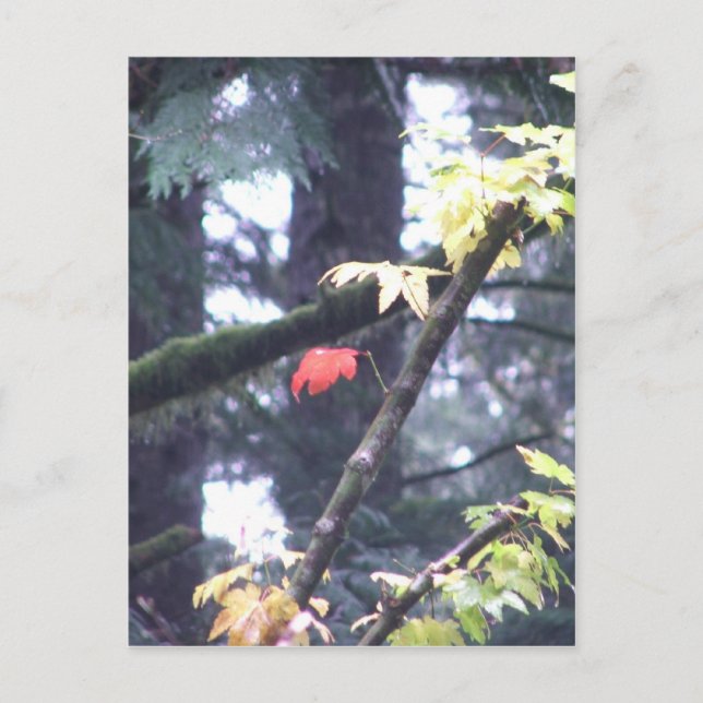 Seien Sie sich Postkarte (Vorderseite)