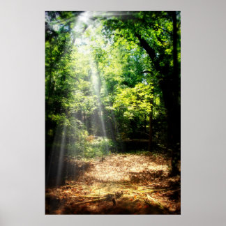 Seien Sie still (Forest Landscape Poster) Poster