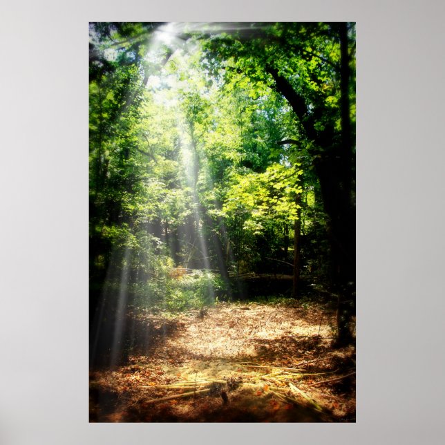 Seien Sie still (Forest Landscape Poster) Poster (Vorne)
