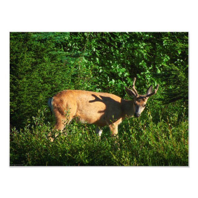 Seien Sie unterwegs Fotodruck (Vorne)
