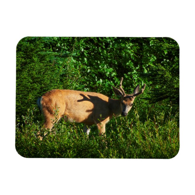 Seien Sie unterwegs Magnet (Horizontal)