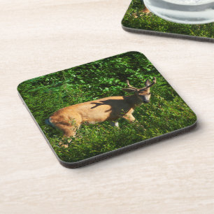 Seien Sie unterwegs Untersetzer