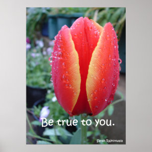 Seien Sie wahr mit Ihnen Red Tulip Nature Garden P Poster