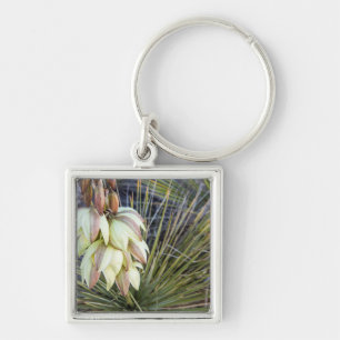 Seifenbaum-Yucca-Blüten am oberen Missouri Schlüsselanhänger