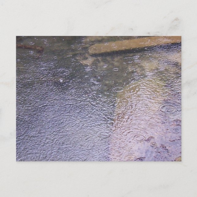 Seile in einer Pfütze Postkarte (Vorderseite)