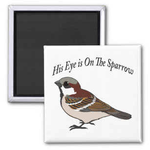 Sein Auge ist auf dem Sparrow Magnet