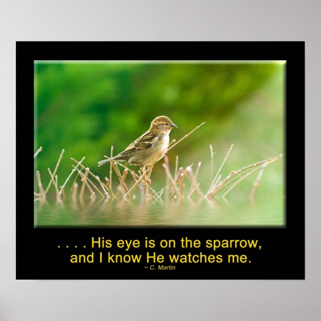 Sein Auge ist auf dem Sparrow - POSTER (Vorne)