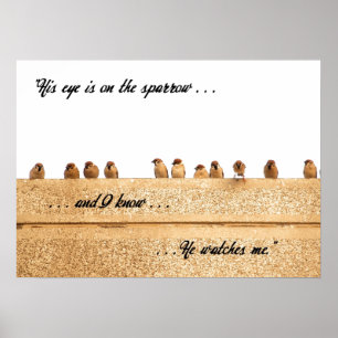 Sein Auge ist auf dem Sparrow. . . Poster