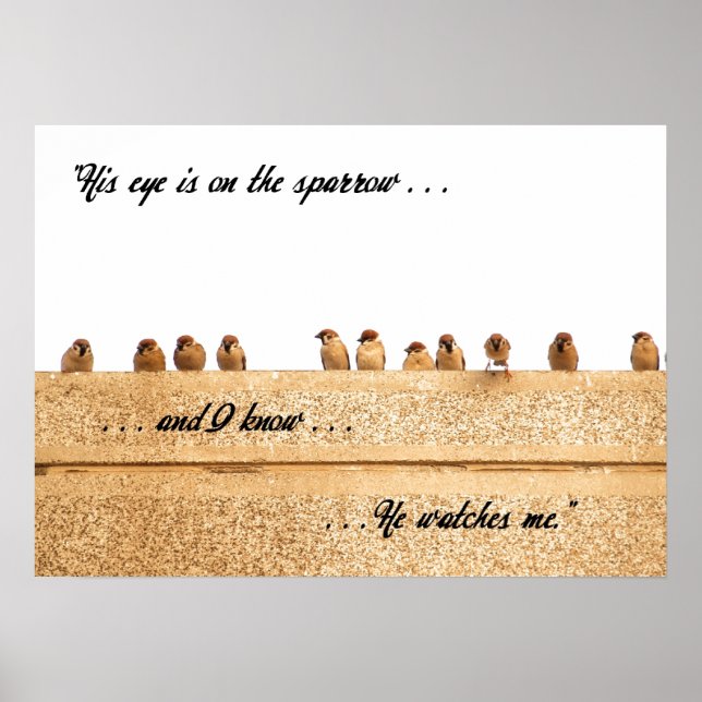 Sein Auge ist auf dem Sparrow. . . Poster (Vorne)