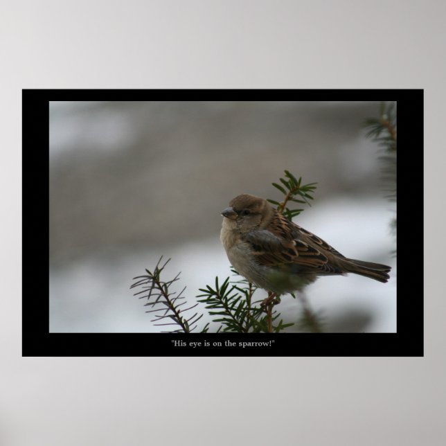 "Sein Auge ist auf dem Sparrow! Poster (Vorne)