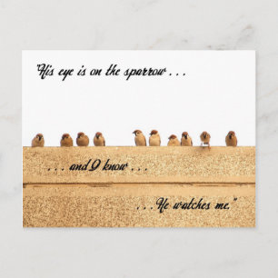 Sein Auge ist auf dem Sparrow. . . Postkarte