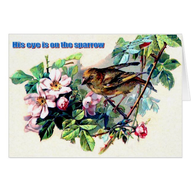 Sein Auge ist auf dem Spatzen (Vorderseite (Horizontal))