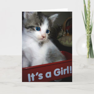 SEIN EIN MÄDCHEN =^O^= ANKÜNDIGUNG