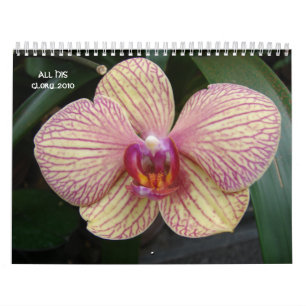 SEIN ganzer Ruhm… 2010 Kalender