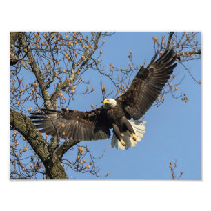 Sein großer Eingang Fotodruck