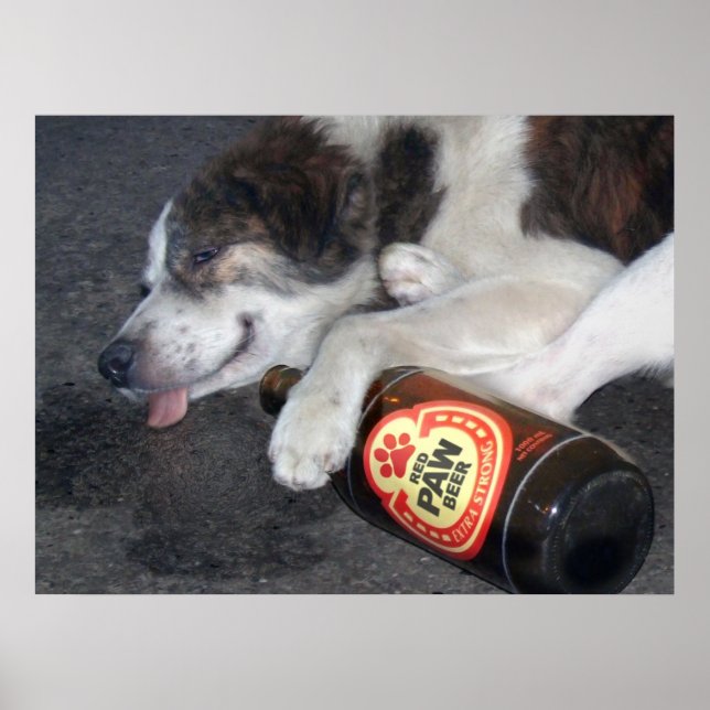 Sein Master-Vizepräsident Poster (Vorne)