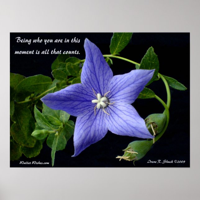 Sein, wer du bist. poster (Vorne)