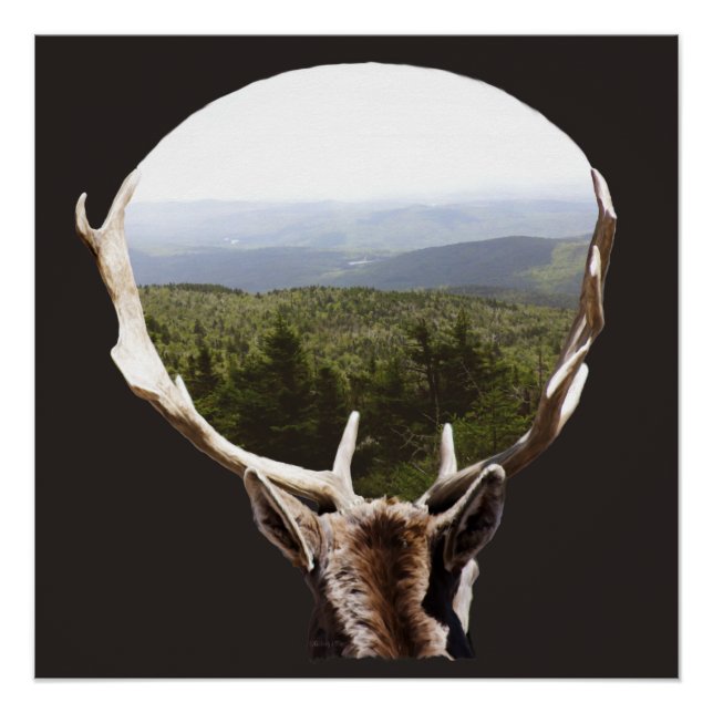 Seine Domäne Poster (Vorderseite)