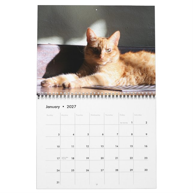 Seine Majestät der Kalender der Katzen-2012 (Jan 2027)
