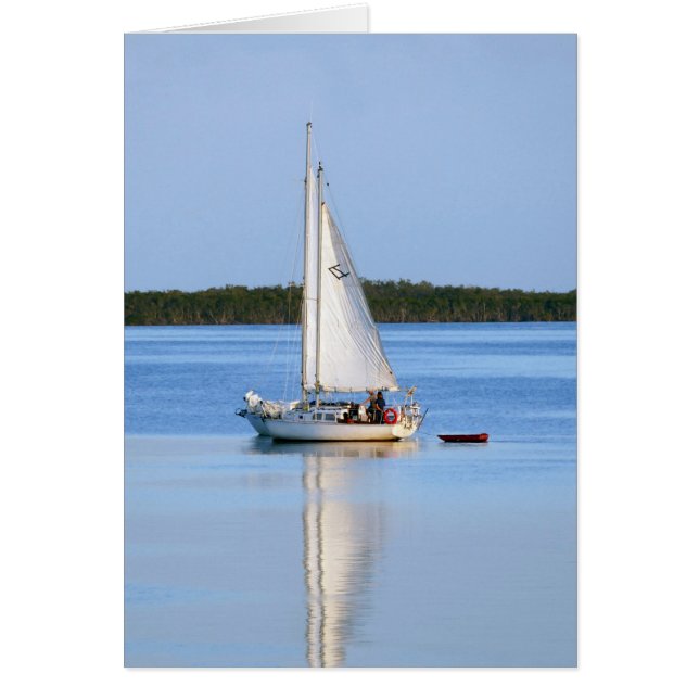 Seite an Seite der Sailboote (Vorne)