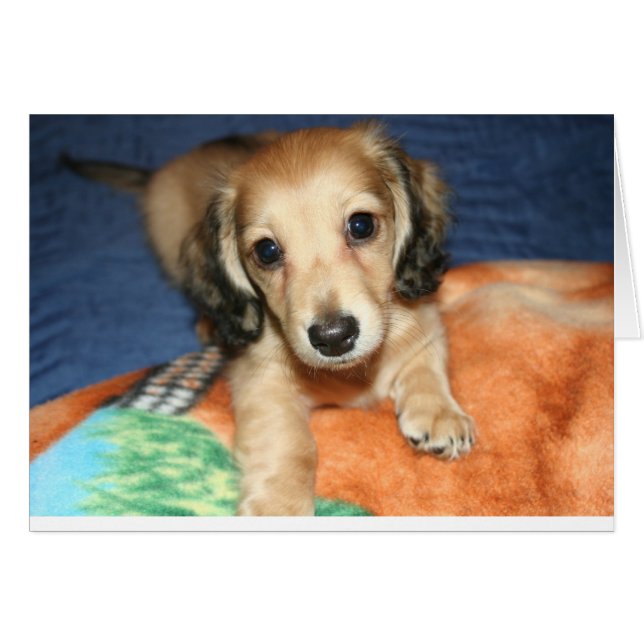 Seite an Seite oder Meilen (Vorderseite (Horizontal))