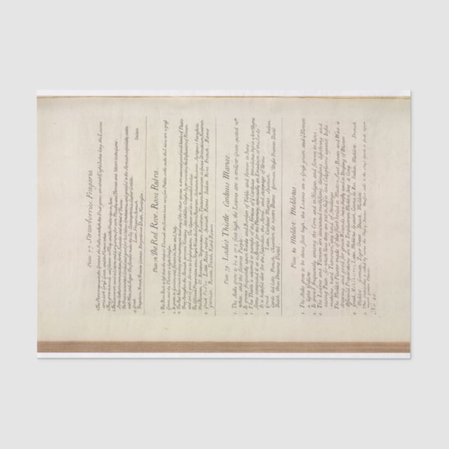 Seite aus einer Neugierigen Herbal von Elizabeth B Seidenpapier (Vorderseite)