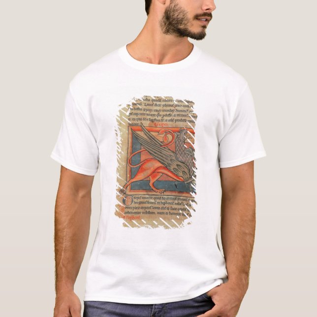 Seite des Textes mit einer Illustration eines T-Shirt (Vorderseite)