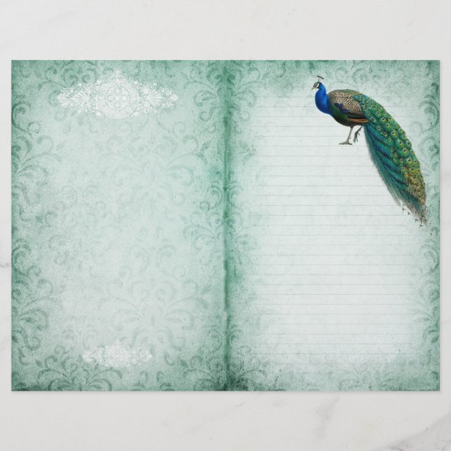 Seite zum Vintagen Pfauenheft des älteren Grünbuch (Vorderseite)