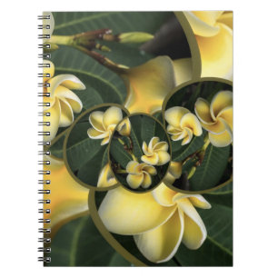 Seiten-Anmerkungsbuch des Frangipani-tropisches Notizblock
