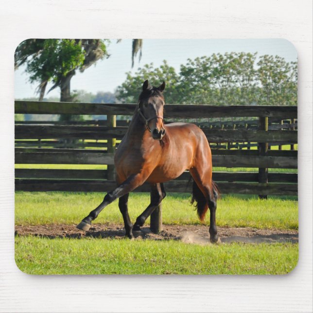 Seiten-Durchlauf Dons Diego Mousepad (Vorne)