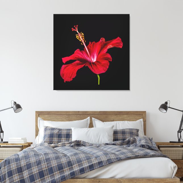 Seitenansicht der Blume des roten Hibiskus Leinwanddruck (Insitu (Schlafzimmer))