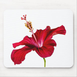 Seitenansicht der Blume des roten Hibiskus Mousepad