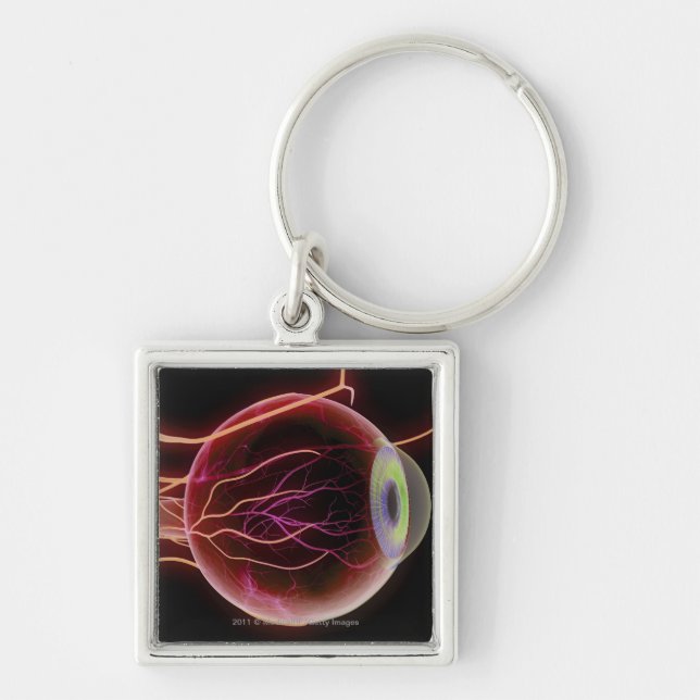 Seitenansicht der Blutgefäße des Auges Schlüsselanhänger (Vorne)