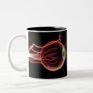 Seitenansicht der Blutgefäße des Auges Zweifarbige Tasse