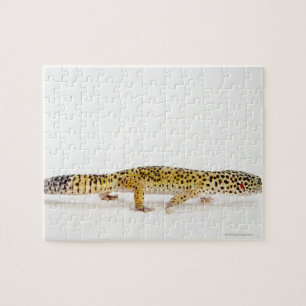 Seitenansicht der Leopard Geckoeidechse Puzzle