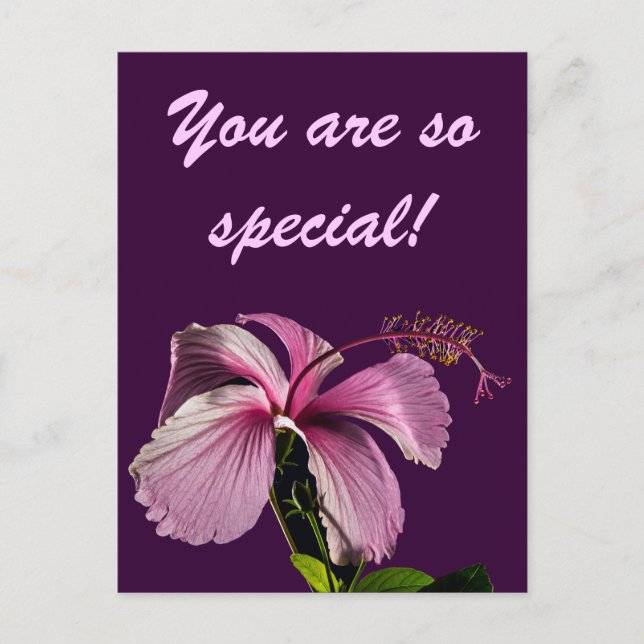 Seitenansicht des rosa Hibiskus Blume Postkarte (Vorderseite)