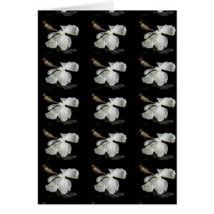 Seitenansicht des weißen Hibiskus Blume