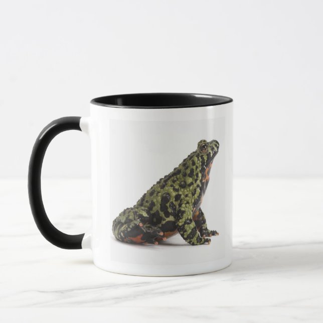Seitenansicht einer orientalisches Feuer Tasse (Links)