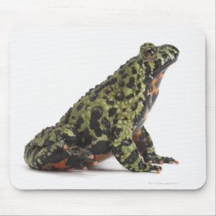 Seitenansicht eines beleuchteten Toad mit oriental Mousepad