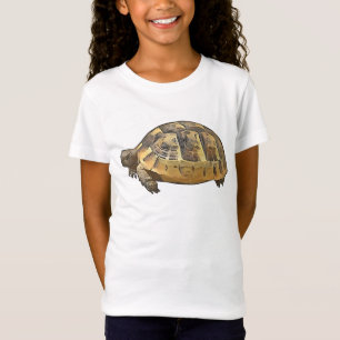 Seitenansicht eines jungen wilden Schildkröten-Car T-Shirt